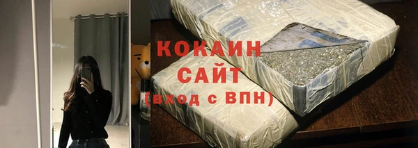 прущие грибы Алзамай