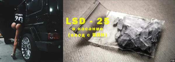 шишки Абаза