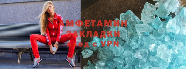 шишки Абаза