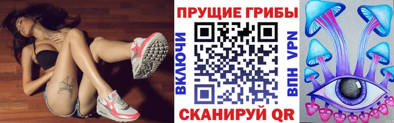 Псилоцибиновые грибы мицелий blacksprut рабочий сайт Сурск